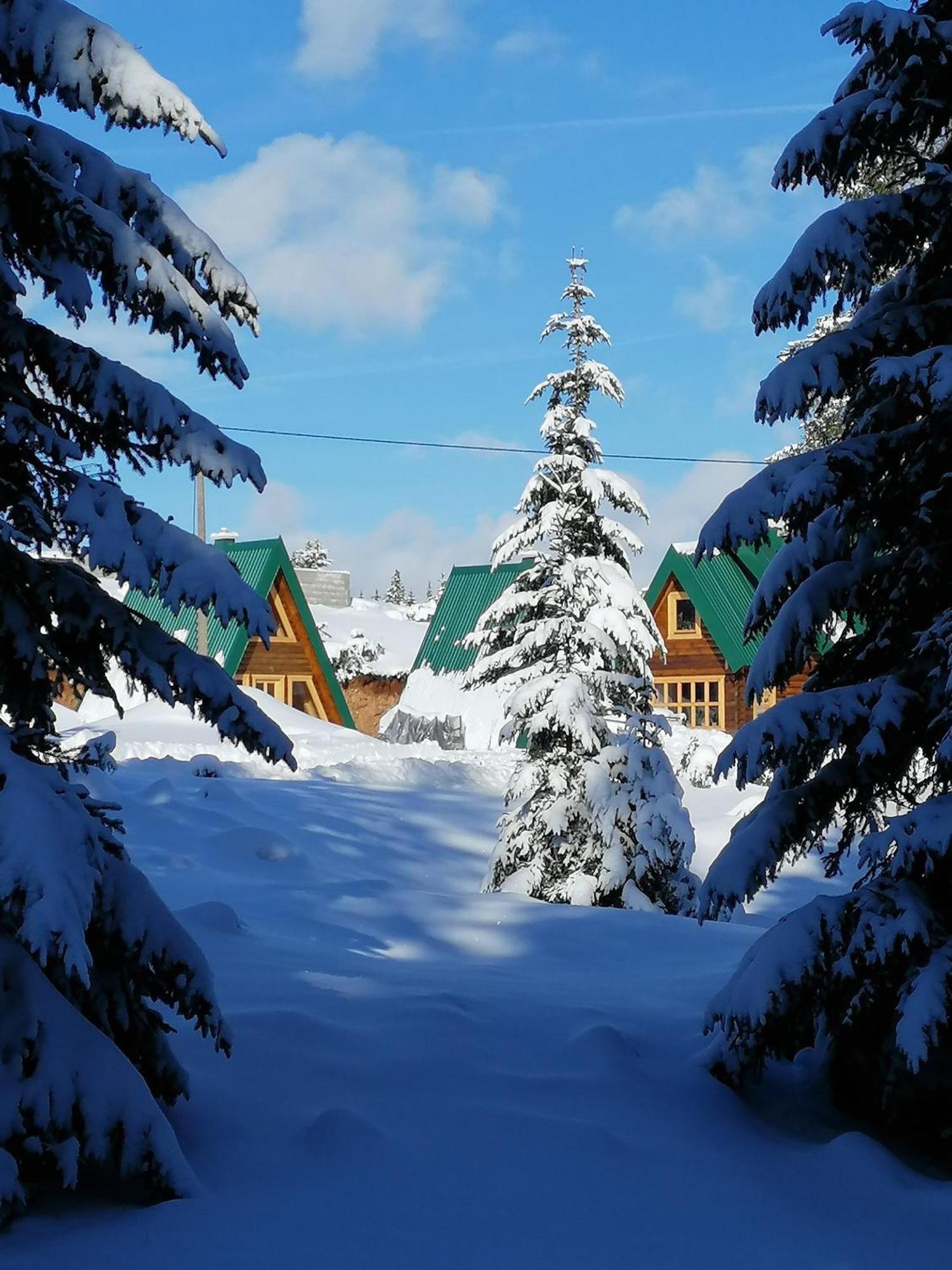 M&K Chalets Žabljak Extérieur photo